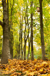 Similar image 1561256