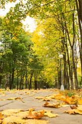 Similar image 1561257