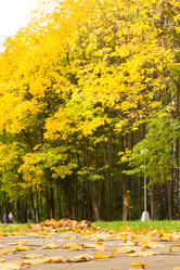 Similar image 1561258