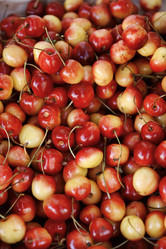 Similar image 1561280