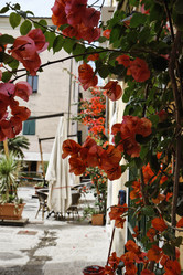 Similar image 1561291