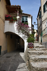 Similar image 1561295