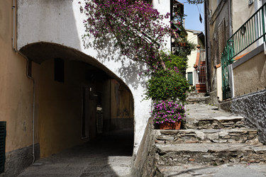 Similar image 1561297