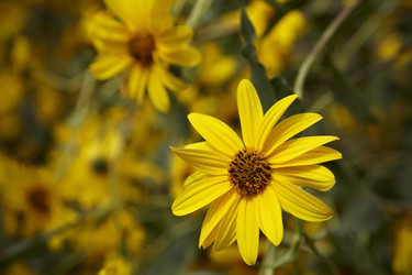 Similar image 1561437