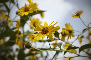 Similar image 1561438