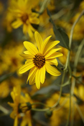 Similar image 1561445