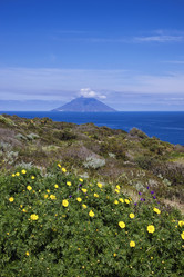 Similar image 1561555