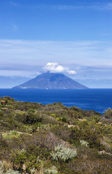 Similar image 1561559