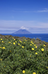 Similar image 1561572