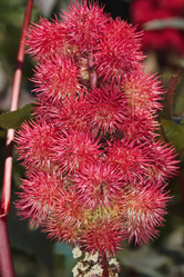 Similar image 1561612