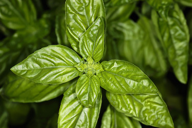 Similar image 1561613