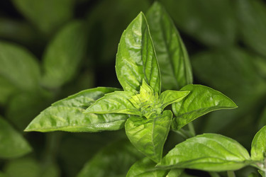 Similar image 1561614