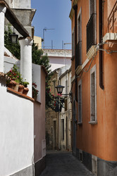 Similar image 1561620