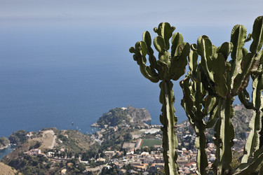 Similar image 1561639