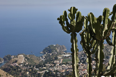 Similar image 1561640