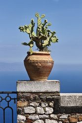 Similar image 1561642