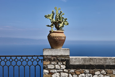 Similar image 1561643