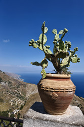 Similar image 1561644