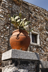 Similar image 1561653