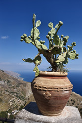 Similar image 1561655