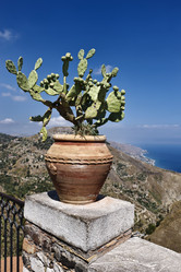 Similar image 1561656