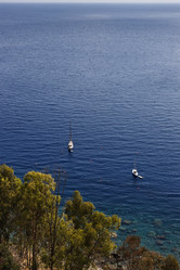 Similar image 1561657