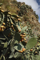 Similar image 1561663