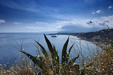 Similar image 1561665