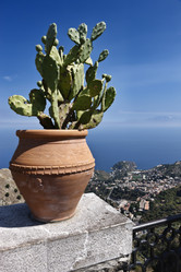 Similar image 1561668