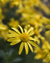 Similar image 1561683