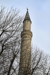 Similar image 1561692