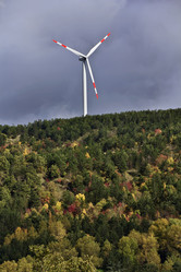 Similar image 1561702