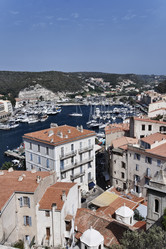 Similar image 1561709