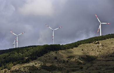 Similar image 1561713