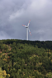 Similar image 1561727