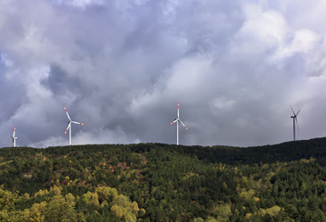 Similar image 1561729