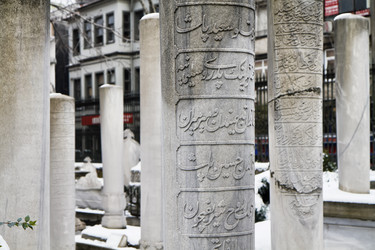 Similar image 1561737