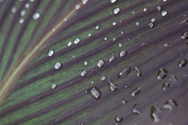 Similar image 1561759