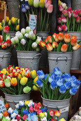 Similar image 1561761