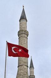 Similar image 1561766