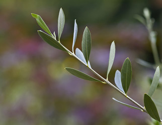 Similar image 1561772