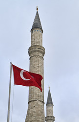 Similar image 1561774