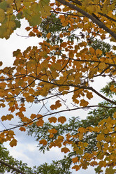 Similar image 1561797