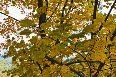 Similar image 1561799