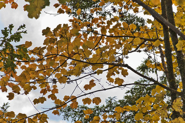 Similar image 1561806