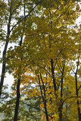 Similar image 1561812