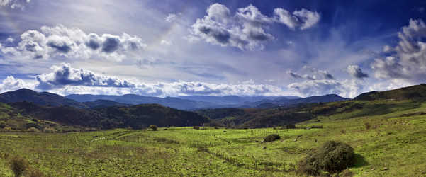 Similar image 1561820