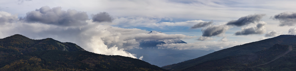 Similar image 1561859