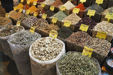 Similar image 1561901