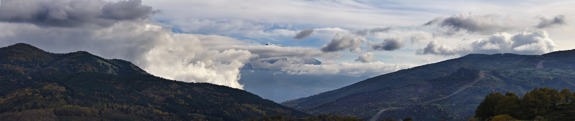 Similar image 1561906